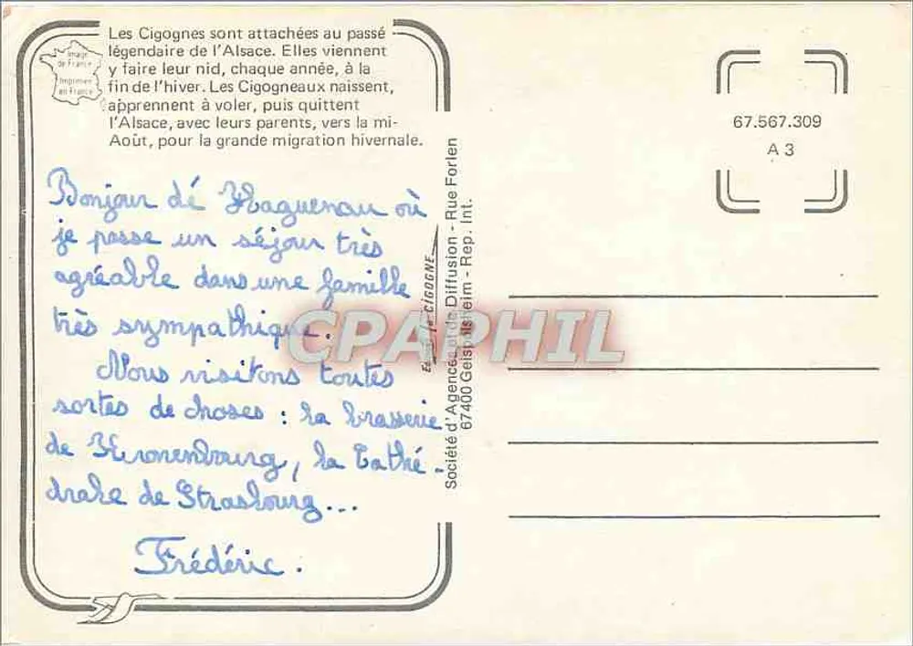 Störche in der Elsass — Verlag: Diffusion Agency - Rue Forlen, 67400 Straßburg - Rückseite