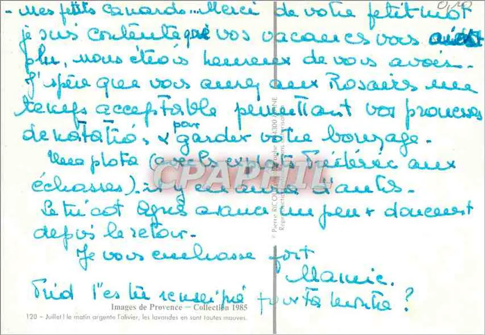 Árvore de azeite — campo de lavanda — Imagens da Provência — Coleção 1985 - Verso
