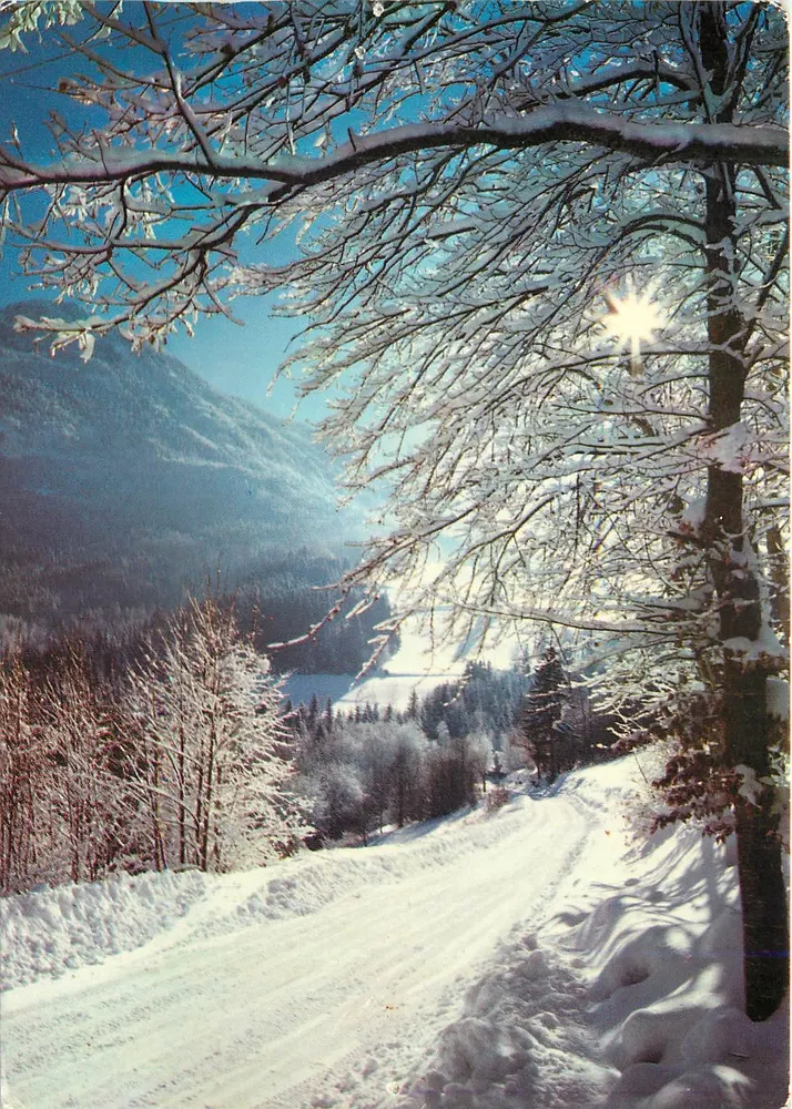 Beauté de l'Hiver en Auvergne — Effets de givre — Édition Grenoble, n° PH 115 - Recto