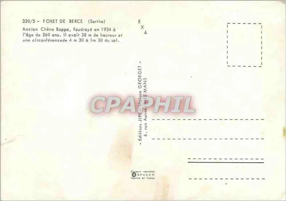 Antiguo Roble Boppe — Bosque de Bercé (Sarthe) — Ediciones JIPE - Reverso