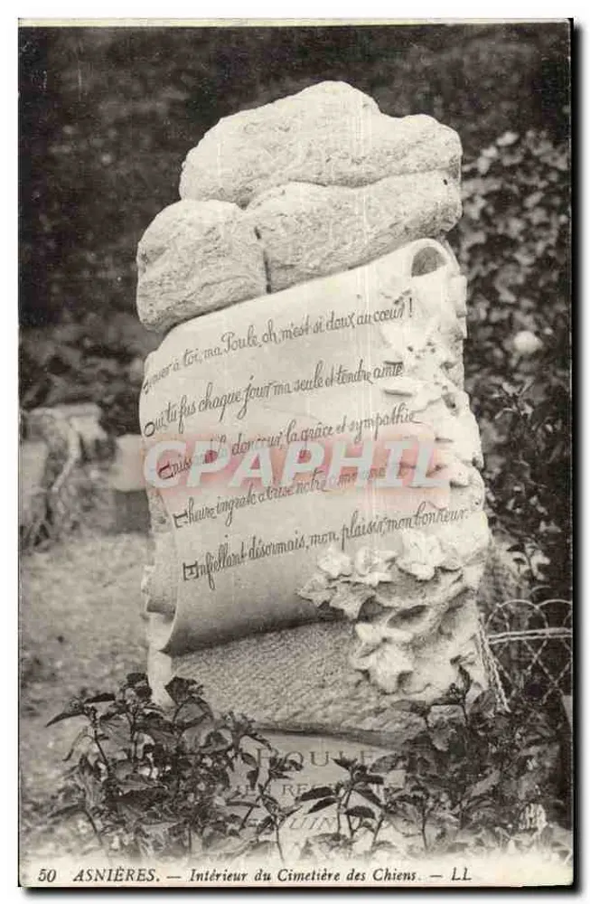 Asnières — Intérieur du Cimetière des Chiens — LL - Recto