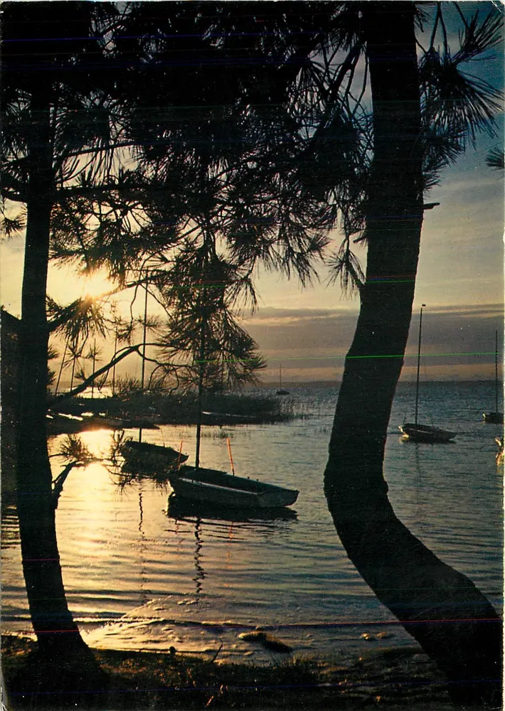 Coucher de soleil sur un lac — vue entre pins — Pierre Artaud et Cie, ZIL-Saint-Herblain - Recto