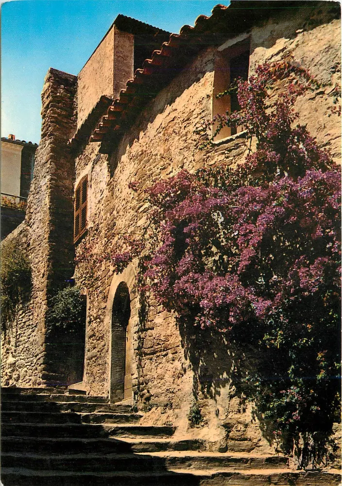 Bormes-les-Mimosas — Coin pittoresque — Éditions MAR - Recto