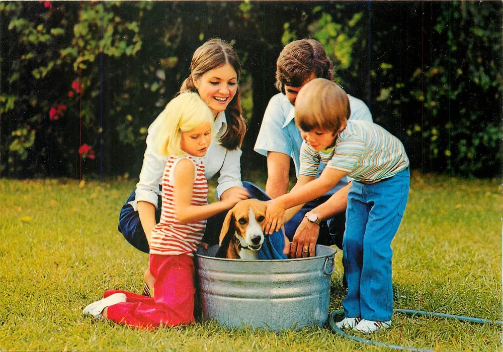 Família lavando um cão beagle — jardim — GRAFICHE BIORIETTI S.R.L. - VERONA, n° 39/4 - Frente