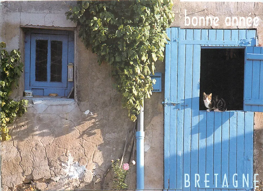 Kot w niebieskiej drzwiach — Bretagne - Awers