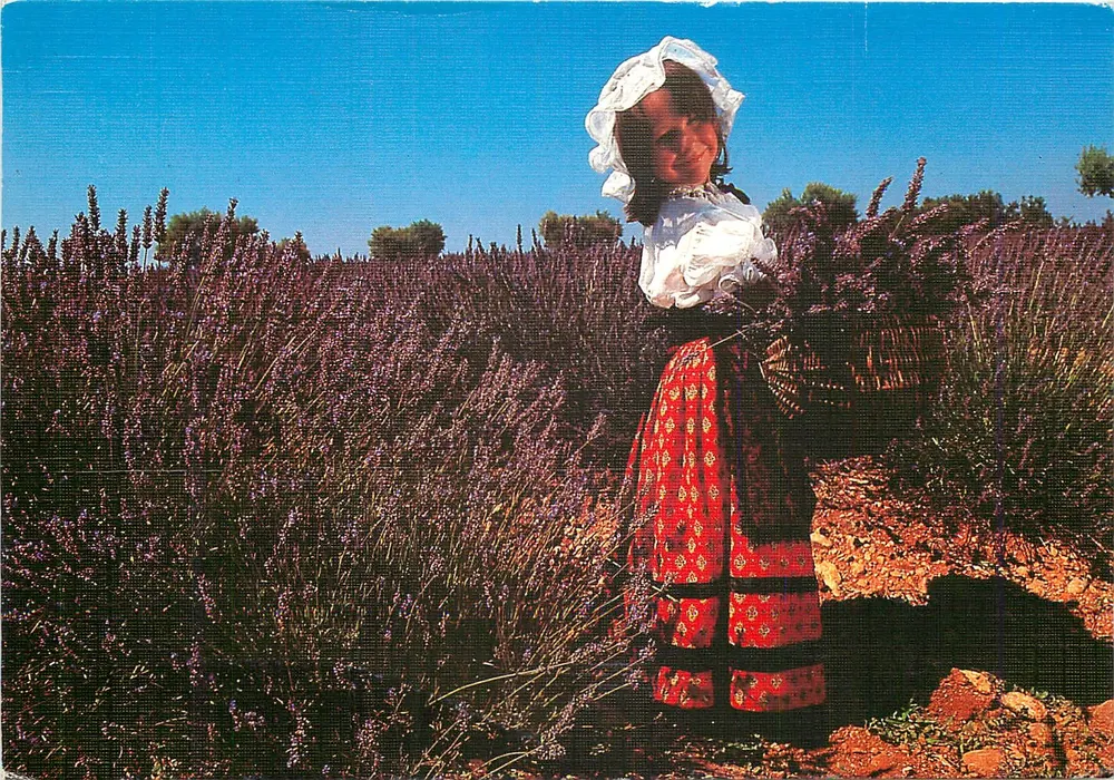 Vrouw in traditioneel kleding in een lavendelveld — Provence — Éditions PHOTOGUY, AC 45 - Voorkant