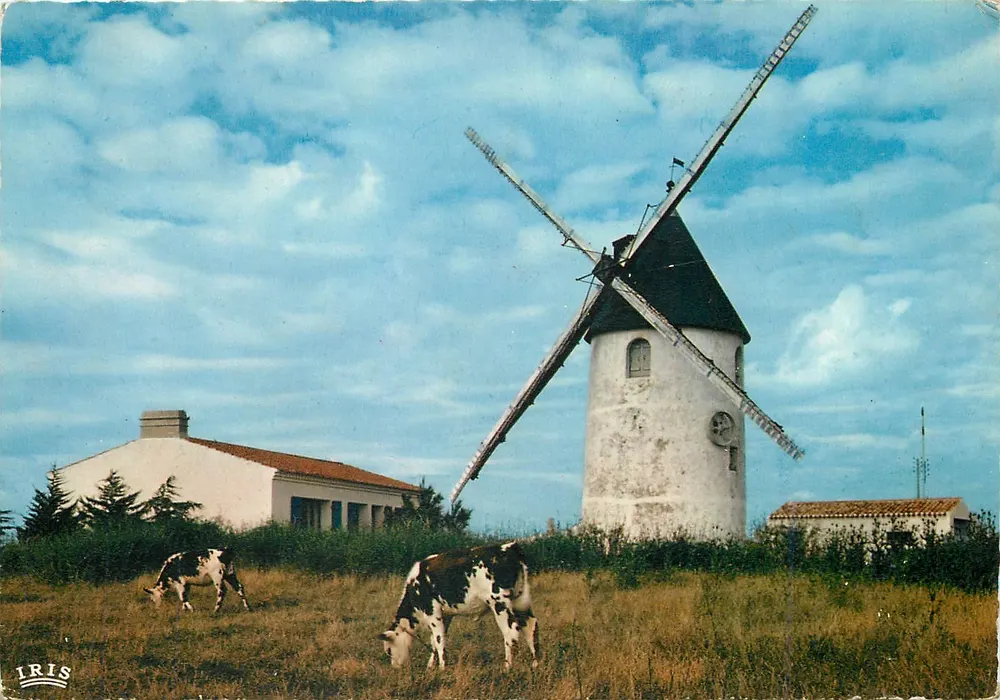 Saint-Hilaire-de-Riez — Um velho moinho — Edições Mexichrome - Frente
