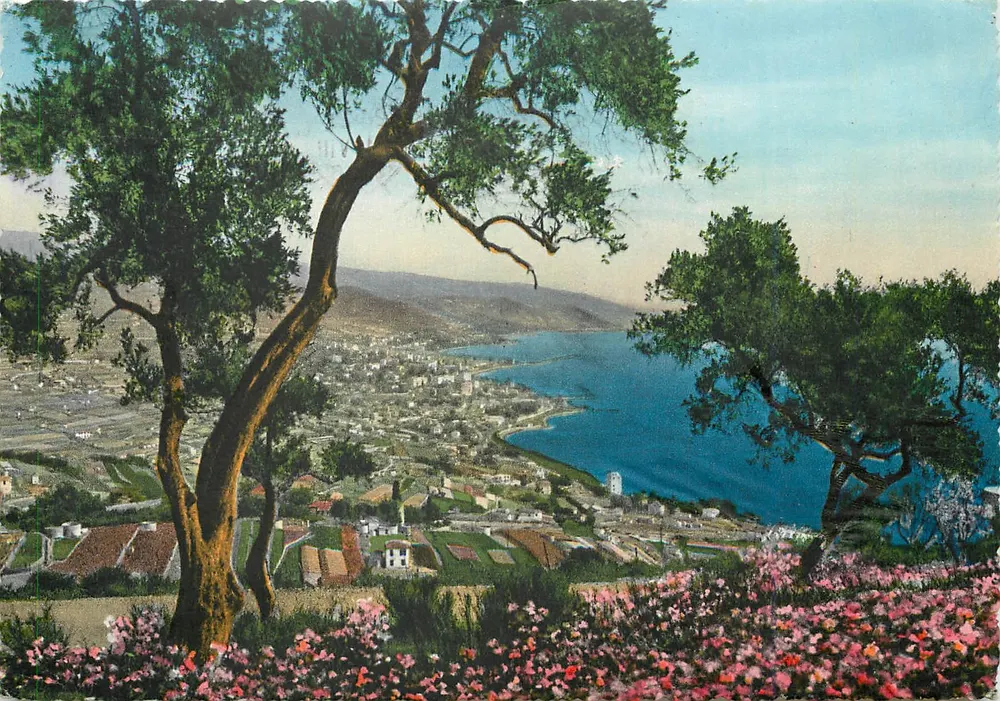 Riviera del Fiori - S. Remo — Panorama aus westlicher Richtung — Prop. riservata Gieffe - Vorderseite