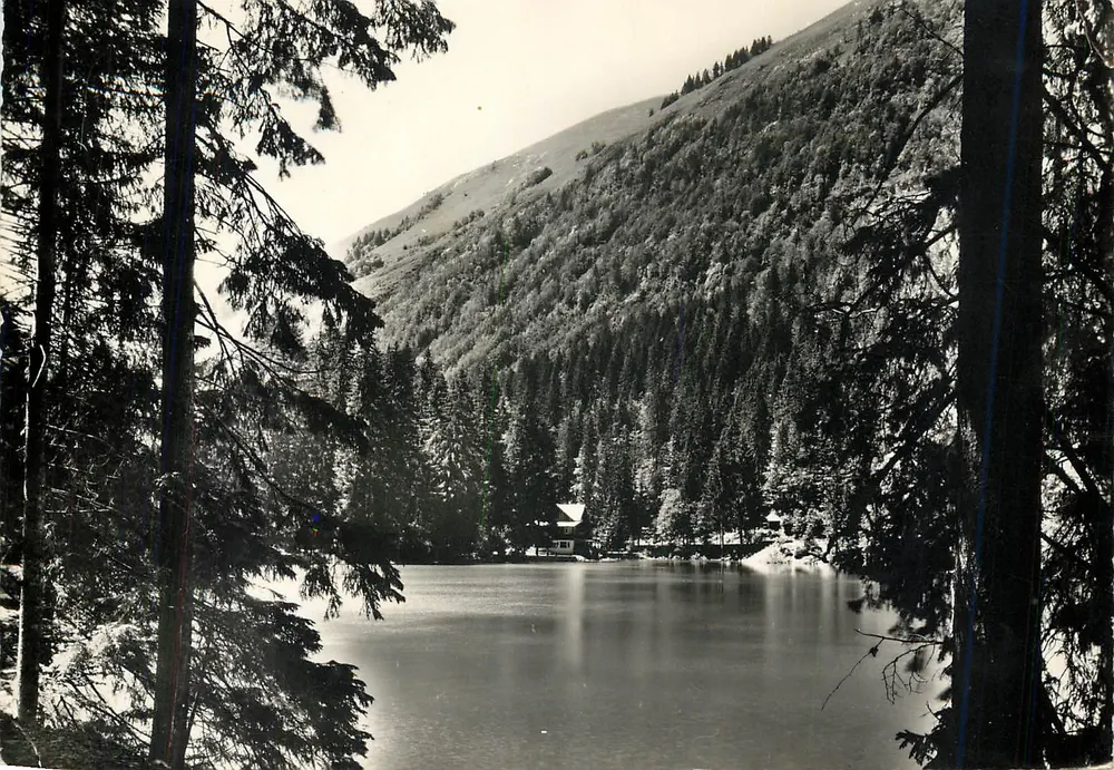 Lago de Montriond (Alta Saboia) — alt. 1050 m — Les Éditions de l’Ésonal (Rhone) n°6762 - Frente