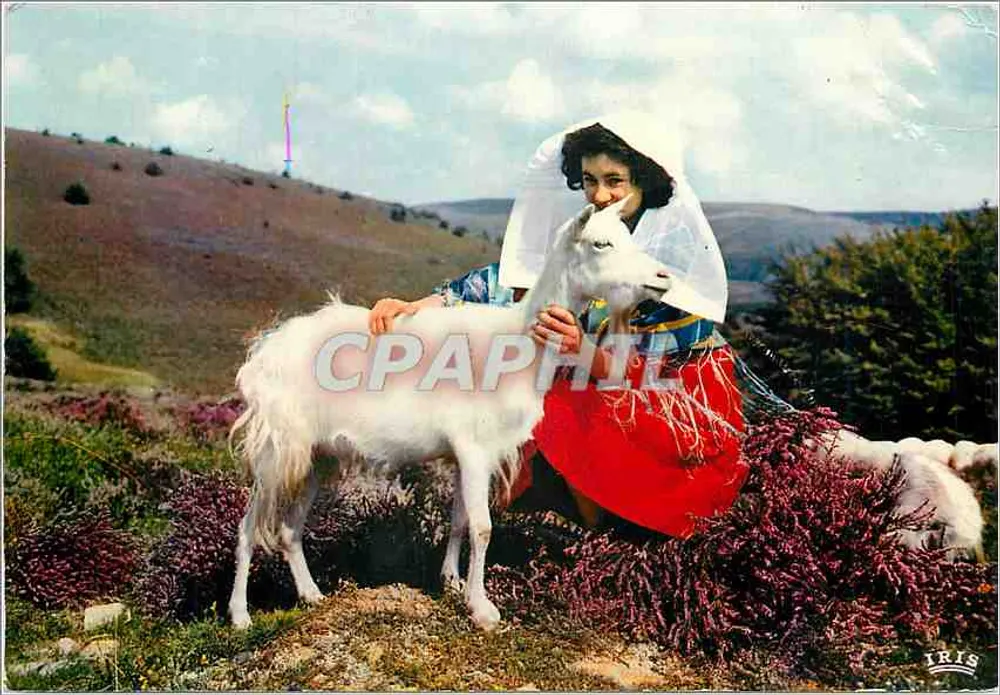 Frau im traditionellen Kleid mit Ziege — Das pittoreske Limousin — Éditions Saint-Afrique - Vorderseite