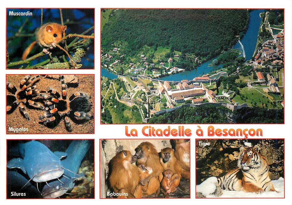 A Cidadela em Besançon — animais da região — Edições Protet - Frente