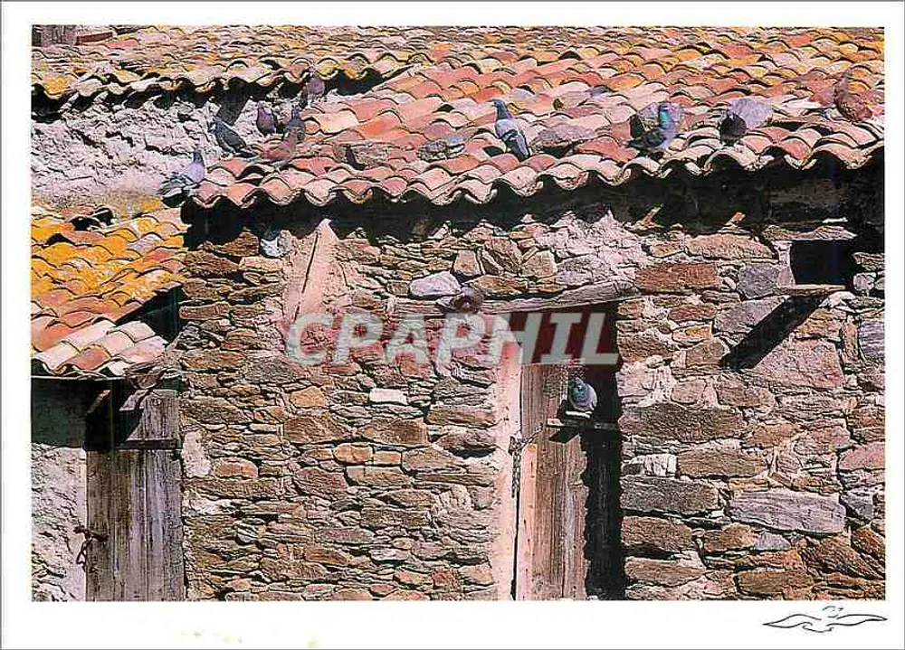 कबाब पकाने वाले लोग — एडिशन्स ला गोएल, संख्या 5162 - आगे