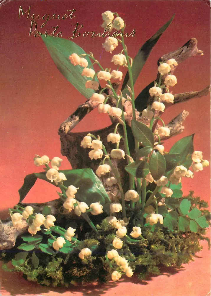 Muguet Porte Bonheur — edição G. Picard, n° 1527/1 - Frente