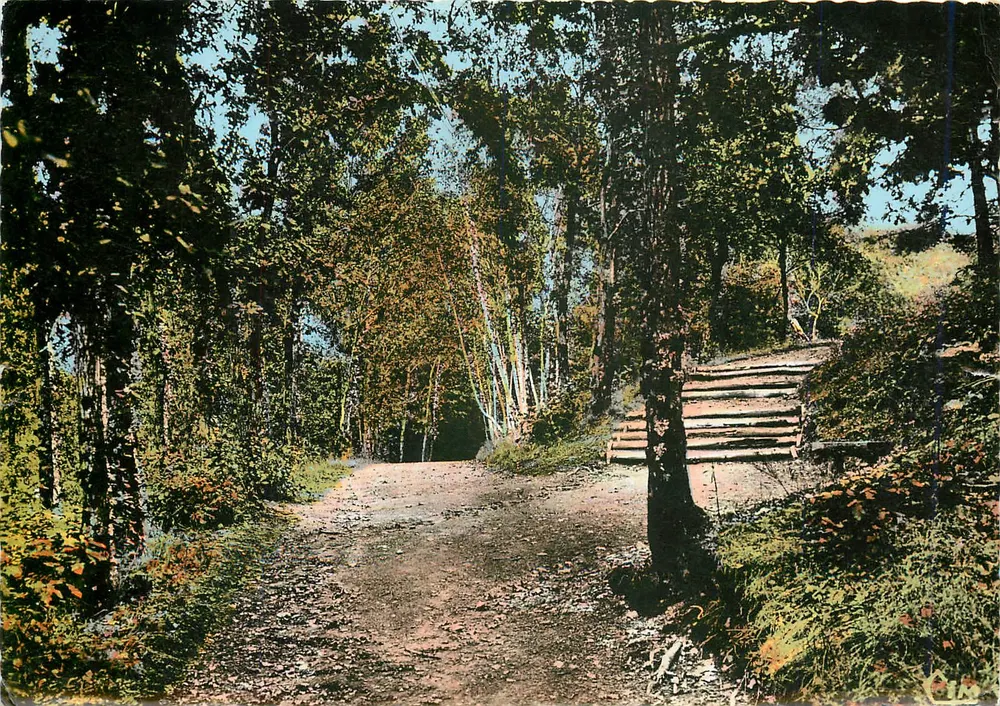 Waldweg mit Treppen — Saint-Honoré-les-Bains — Combière Imprimeur - Vorderseite