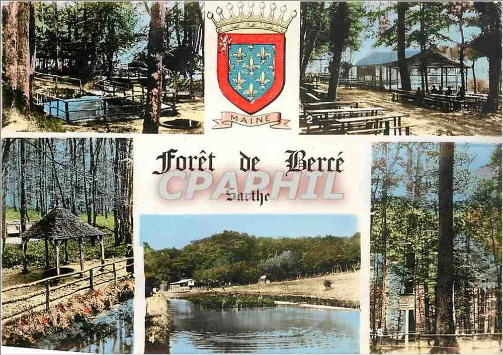 Floresta de Bercé — Maine e Sarthe - Frente