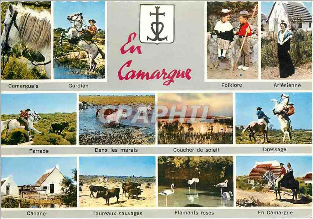 In Camargue — Folklore, stieren, roze flamingo's — Établissements G. GANDIN, PEYRÉGUE DES GAVLES - Voorkant