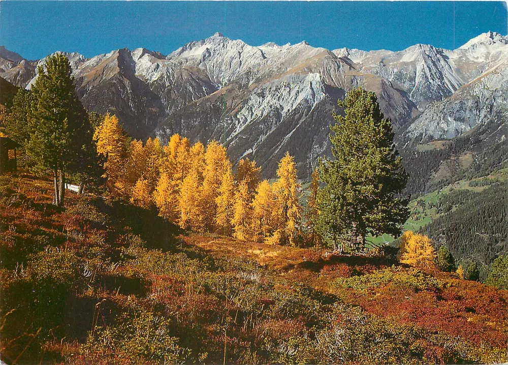 Paysage alpin en automne — montagnes enneigées, lisières dorées — Alpine Luftbild Innsbruck, n°3133 - Frente