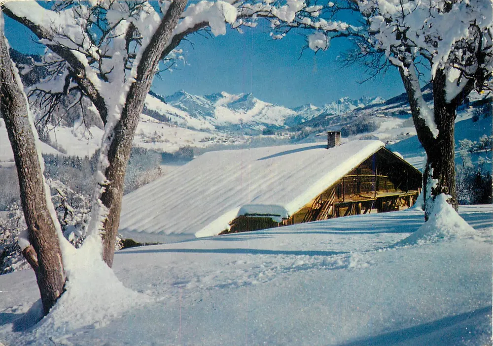 Chalet nevado — Montes de la Alpe — Editor Magon (71, S.A.L.) - Anverso