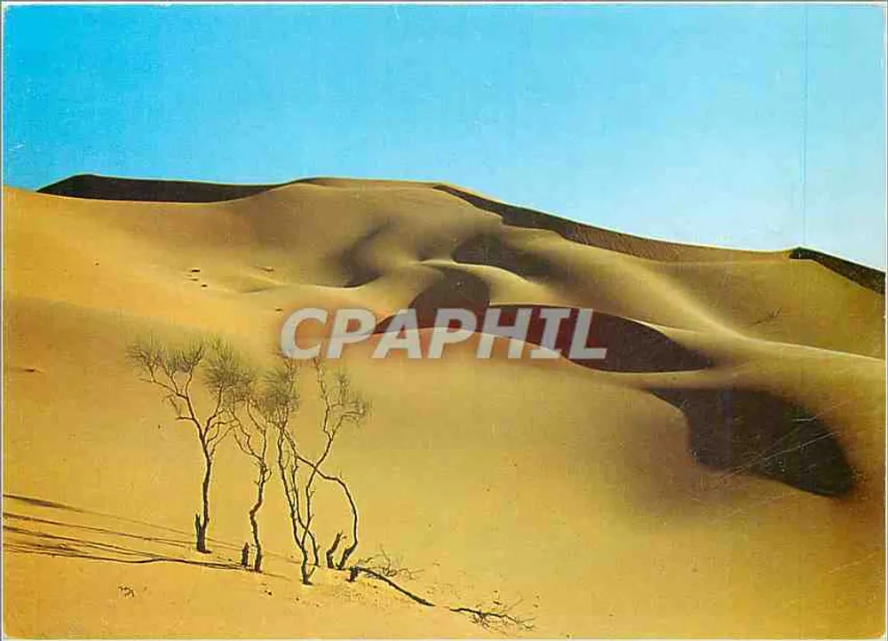 सहारा के ड्यून — अल्जीरिया — प्रकाशक ले सद फैसिनांत, श्रृंखला B.45 - आगे