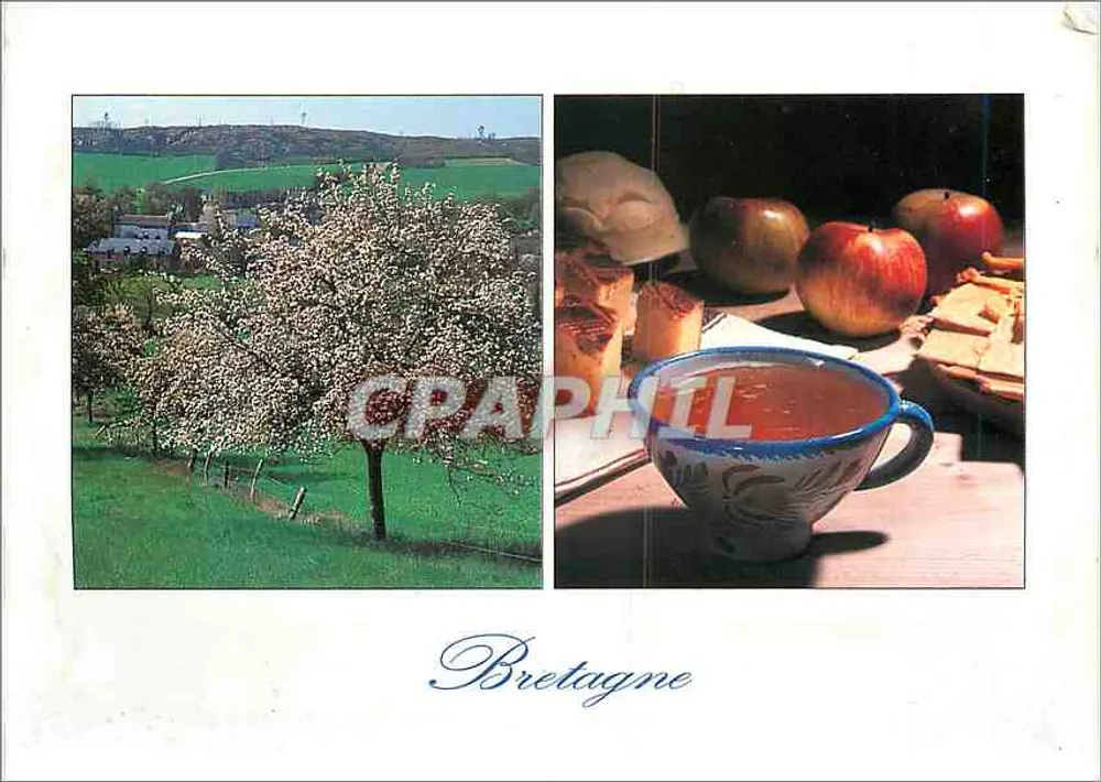 Paisagem bretona e cidre — Bretanha — Edições de Arte Jos Le Doare, n° 121 - Frente