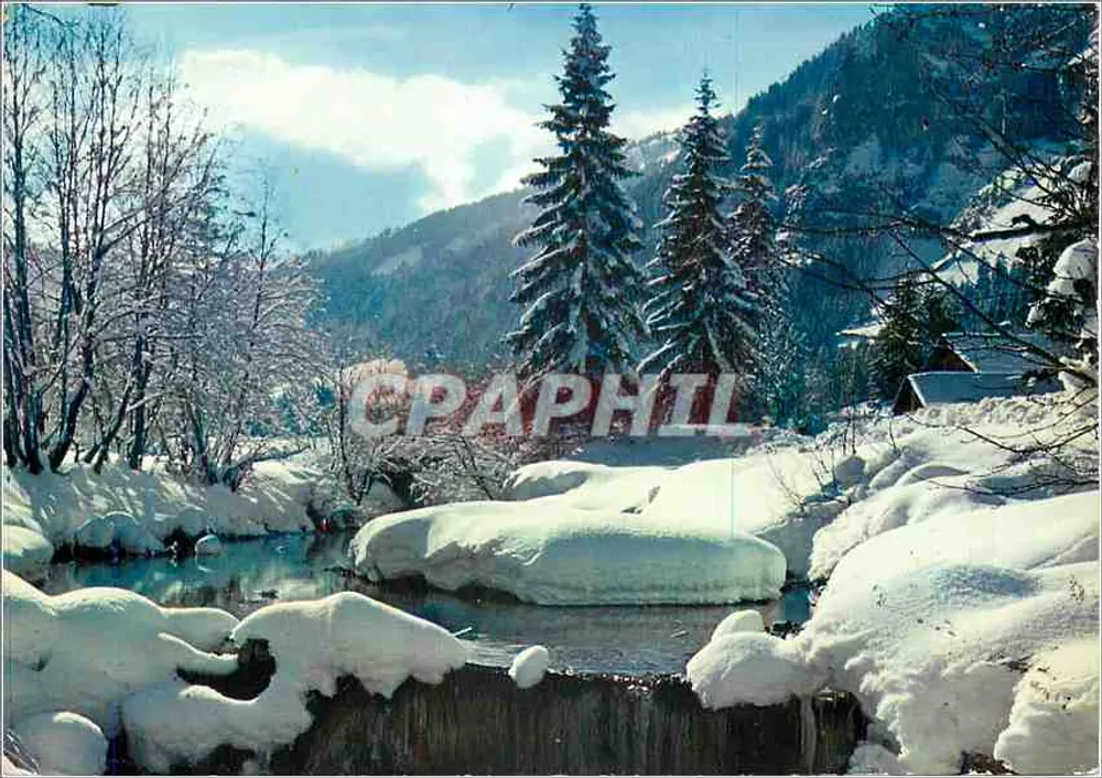 Berge im Winter — Schneespiele zwischen den Tannen — Cliché Studio Yvon Gaudoyd — Châtel - Vorderseite