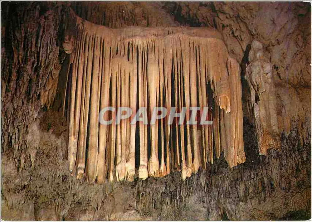 Höhle der Damen — Der Königliche Mantel — Éditions du Castellet - Vorderseite