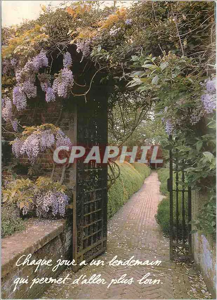 Gartentor unter Wisteria — Houtland, Brugge — Seriennummer EVF 04.19.02 - Vorderseite