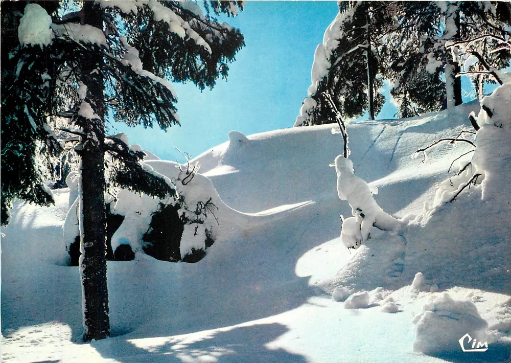 Les Vosges sob a neve — série CI. 3 — editor CIMY - Frente
