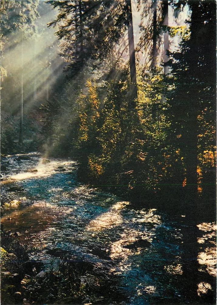 Pittoreske Vosges — Schatten und Licht auf der Vologne — Éditions La Châtaigneraie - Vorderseite