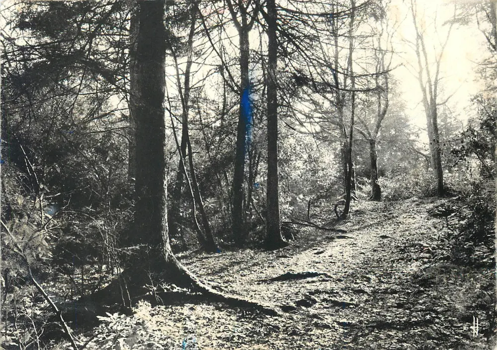 Bretanha pitoresca — Subfloresta — Cliché A. Pennec, Éditions Le Cigogne, Nantes - Frente