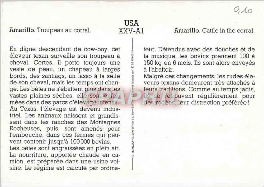 Amarillo. Tropa no corral — criação texana — Edições S.A. Rivier - Verso
