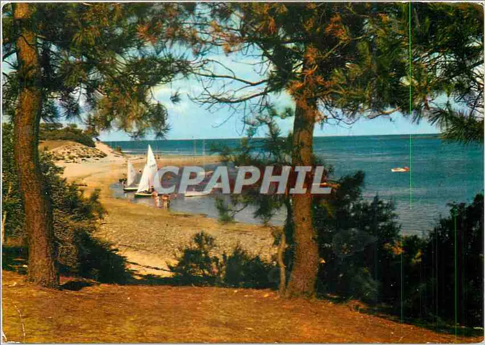Strand von Trousse-Chemise — Île de Ré — veröffentlicht von Couleurs Naturelles - Vorderseite