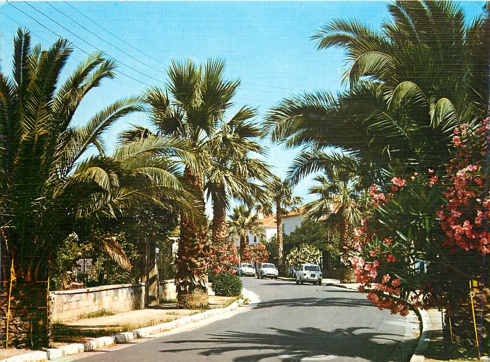 Hyères Les Palmiers — Uma rua florida — Les Editions Aéis, n°7262 - Frente