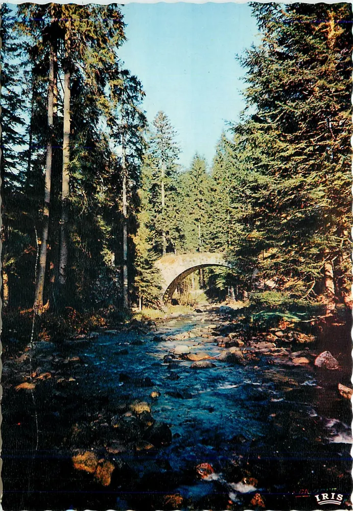 Ponte das Fadas — Gerardmer — Editor IRIS, n° 88.999.30 - Frente