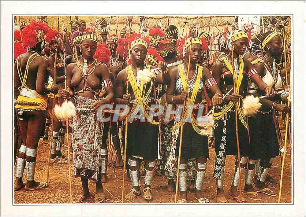 Etiolo. Rytualne tańce bassarów — Senegal, XXXV-B1 - Awers