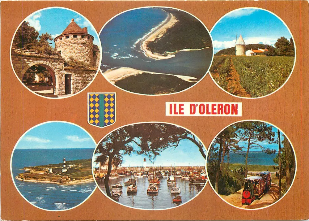 Ilha de Oléron — vista panorâmica — Artaud Frères, n° 374 - Frente