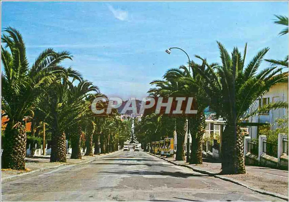 Avenue Alexis Godillot — Hyères — Verlag ST MICHEL - Vorderseite
