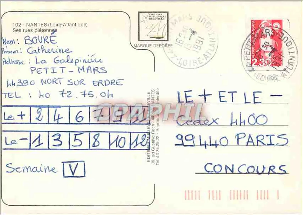 Nantes — Seine Fußgängerstraßen — Médecaille Editions - Rückseite