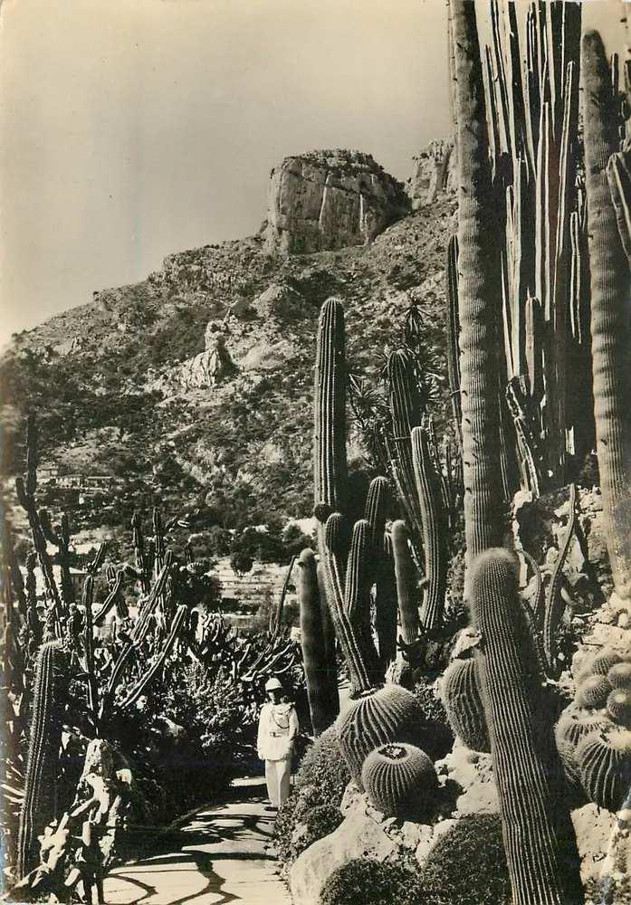 Exotischer Garten von Monaco — Cereus, Pilocereus und Echinocactus-Varianten — Estel Luxus-Editionen, Serie 3580 - Vorderseite
