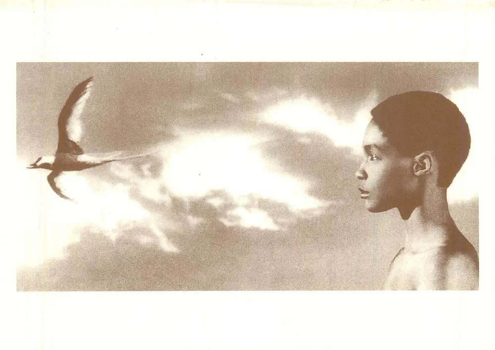 A criança e o pássaro — Fotografia de A. Mabarek © 1992 — 005 - Frente