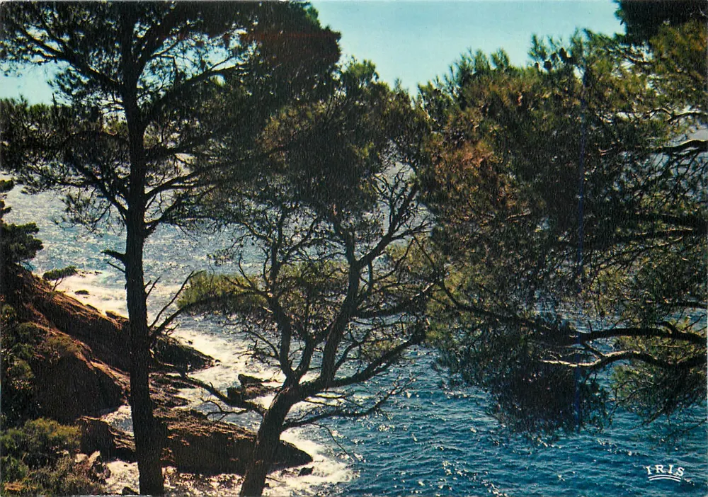 Côte d'Azur — Calanques de La Vigie — Verlag IRIS, Nr. 1022 - Vorderseite