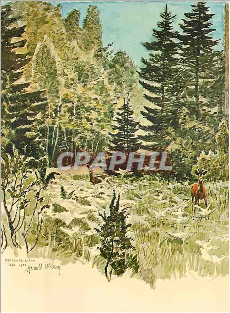 राड्जुर — हारल्ड विबर्ग — स्कैंडिनेवियन मेजेस्टी लिमिटेड 1975 - आगे