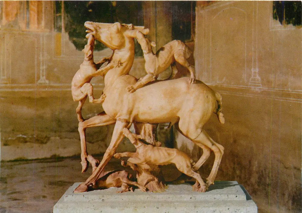 Ercolano - Casa dei Cervi - Marmorgruppe eines Rehbocks, von Hunden angegriffen — Verlag Vincenzo Carcavallo - Vorderseite