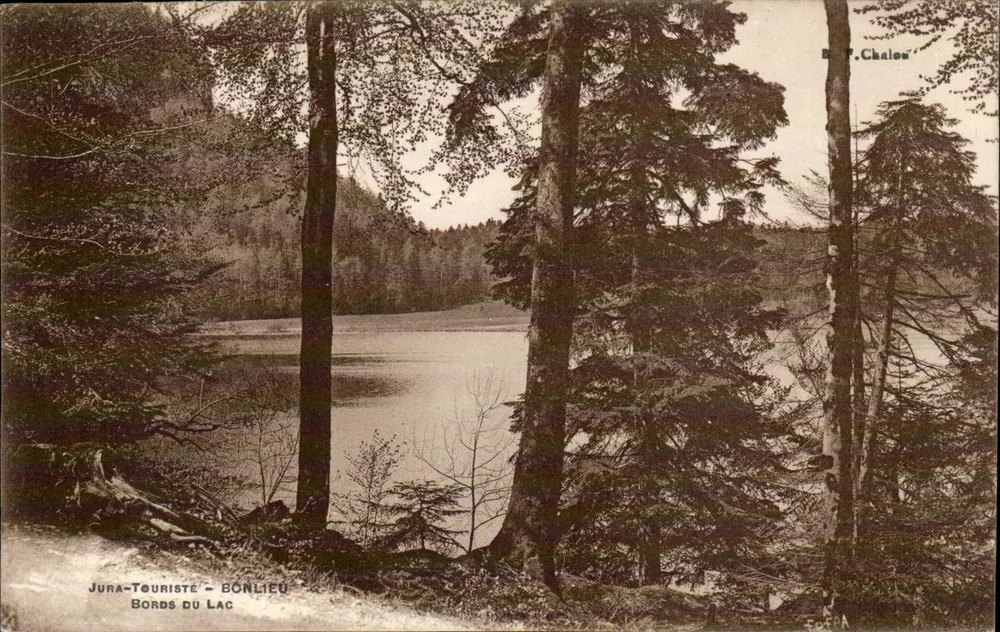 Ufer des Sees - BONLIEU - Jura-Touriste - Verlag P. Chalons - Vorderseite