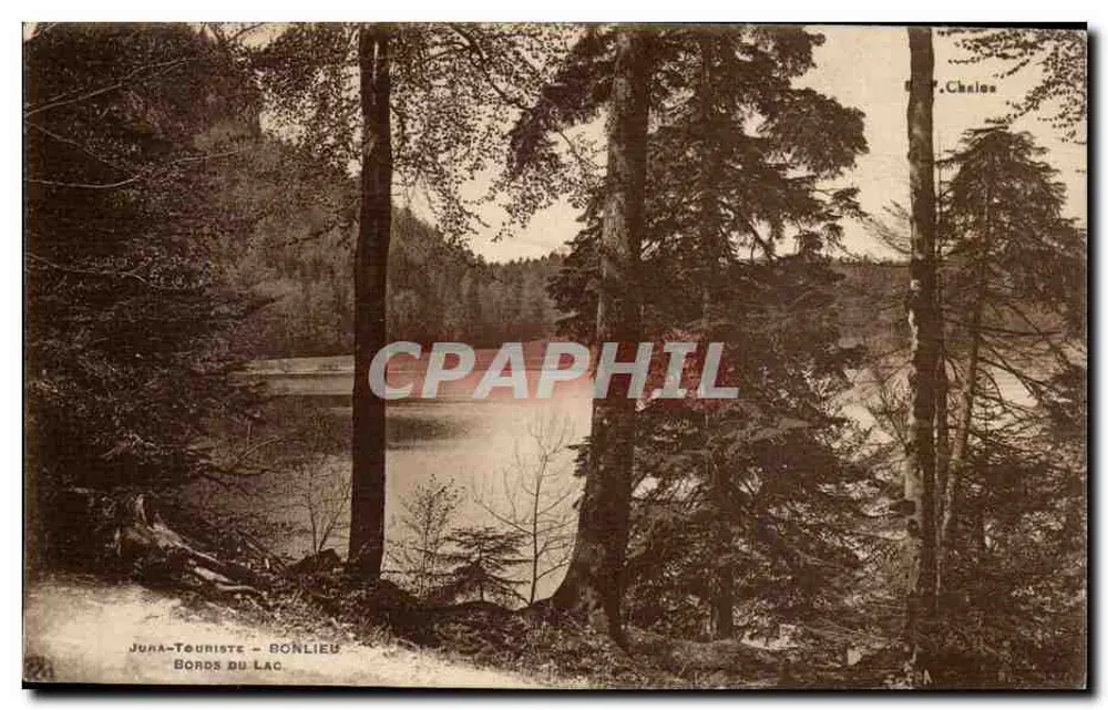 Ufer des Sees - Bonlieu — Juna-Touriste - Vorderseite