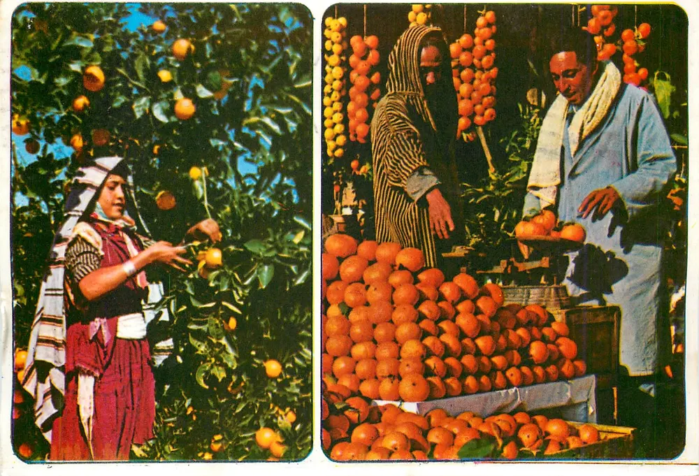 तुनीशिया — संतरे और बाजार — कहिया संस्करण - आगे