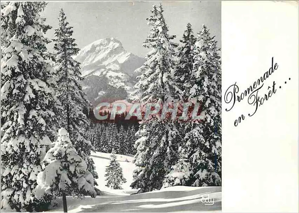 Passeio na Floresta — Montgenèvre — Edições EDY - Frente