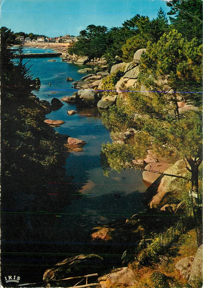 Troïéros-Vallei — Ploumanac'h, Finistère — Iris - Voorkant