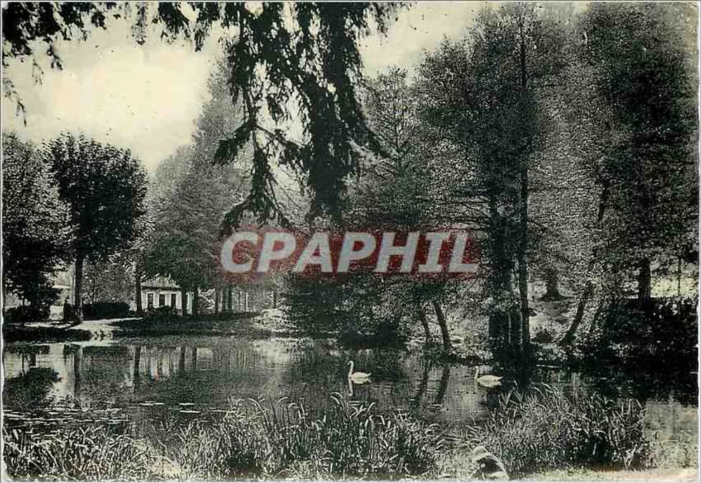 Landschaft mit See und Schwänen — Luchon (Haute-Garonne) — unbekannter Verlag - Vorderseite