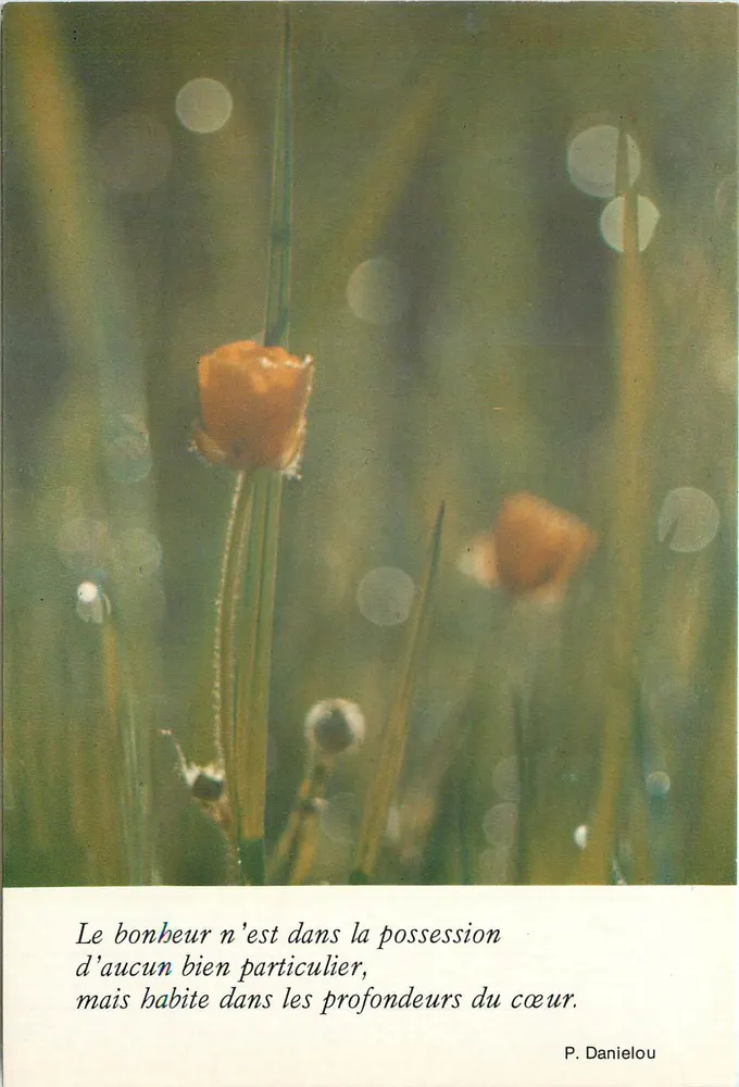 Blumen im Gras — Zitat von P. Danielou — In Belgien gedruckt - Vorderseite